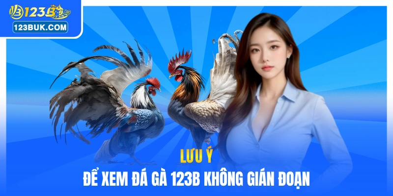 Lưu ý để xem đá gà 123B không gián đoạn
